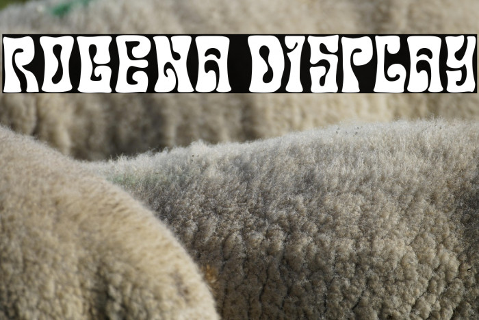 Rogena Display Example 2