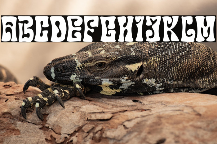 RogenaDisplay Example 3