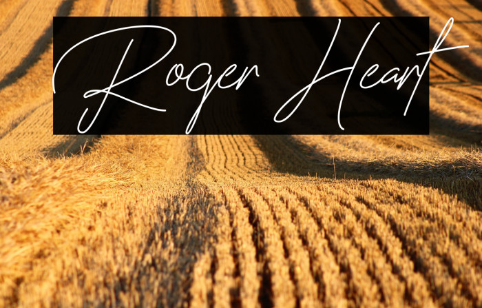 Roger Heart Example 1