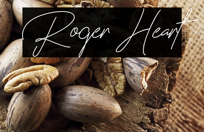 Roger Heart Example 2