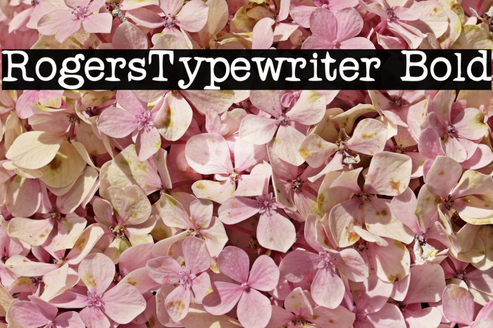 RogersTypewriter Bold Font examples