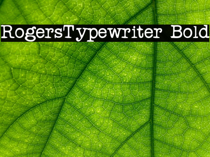 RogersTypewriter Bold Font examples