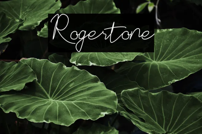 Rogertone Example 2