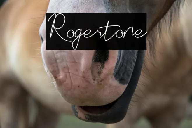 Rogertone Example 3
