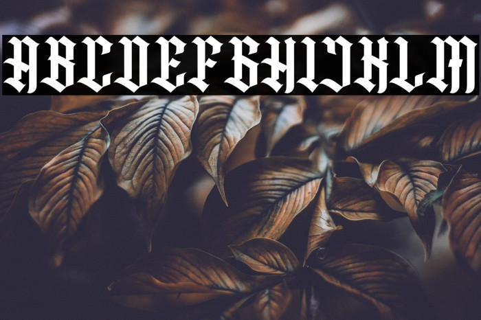 Rogfus Sejatty Regular Example 1