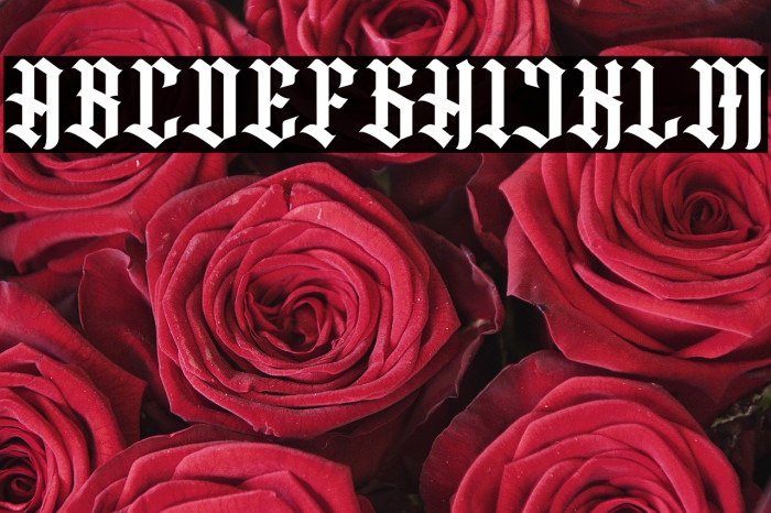 Rogfus Sejatty Regular Example 3