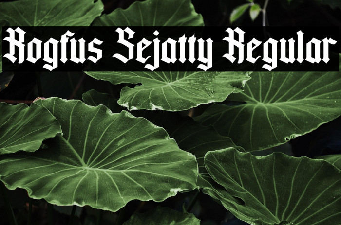 Rogfus Sejatty Regular Example 1