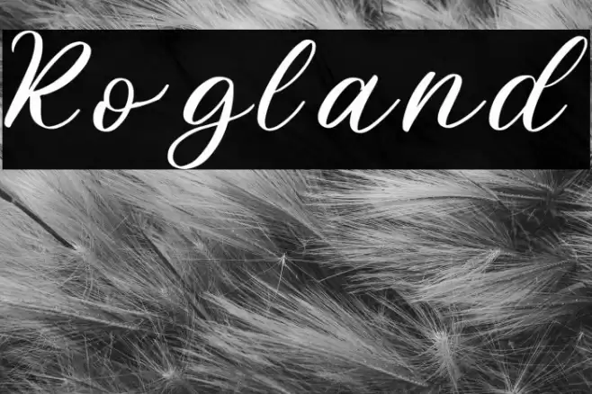 Rogland Fuentes examples