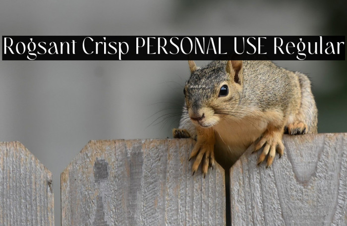 Rogsant Crisp PERSONAL USE Regular Example 2
