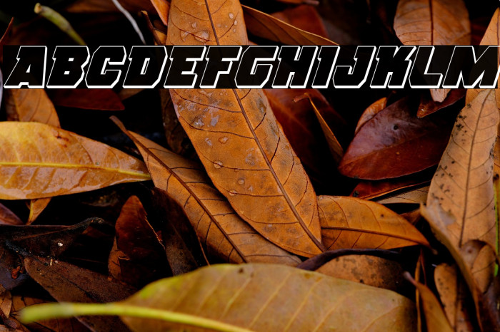 Rogue Hero 3D Italic Example 1