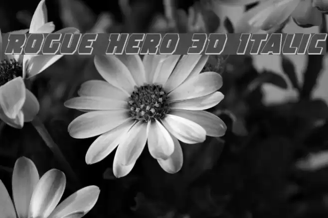 Rogue Hero 3D Italic Font examples