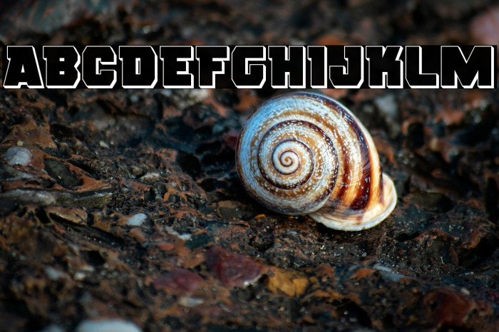 Rogue Hero 3D Example 1