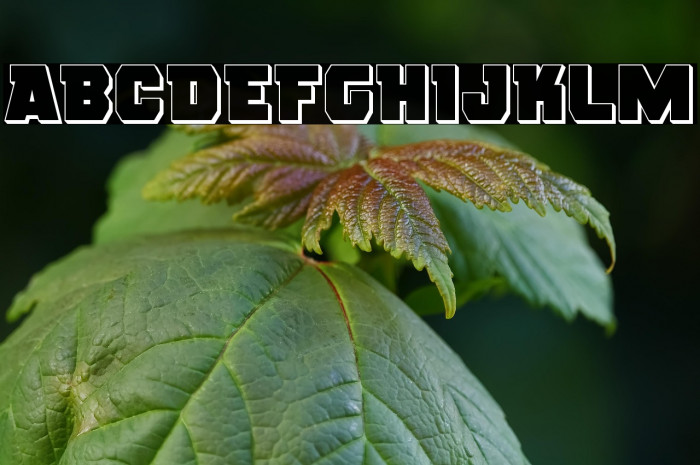 Rogue Hero 3D Example 2