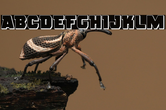 Rogue Hero 3D Example 3