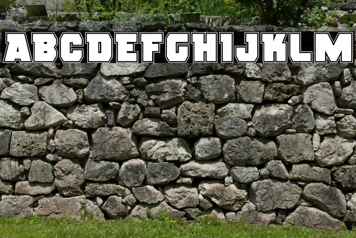 Rogue Hero Academy Example 3