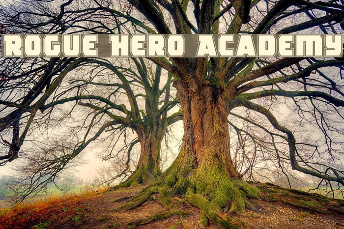 Rogue Hero Academy Example 2