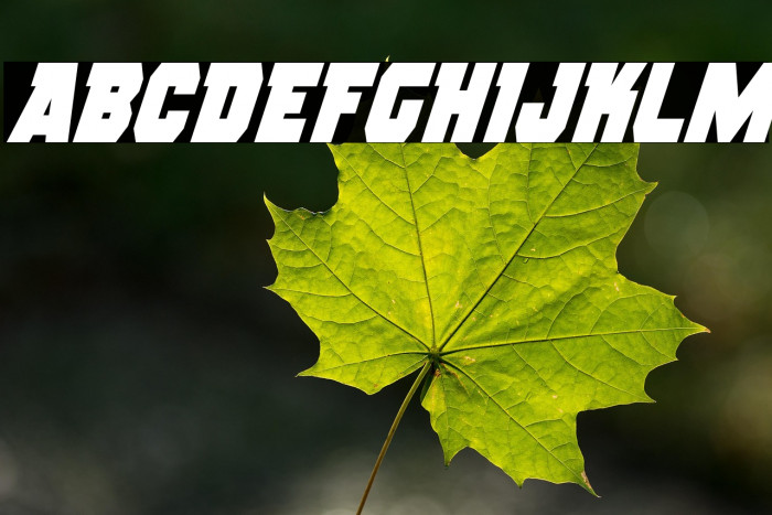 Rogue Hero Condensed Italic Example 2