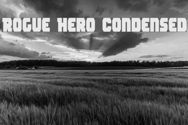 Rogue Hero Condensed フォント examples