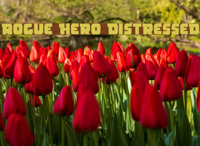 Rogue Hero Distressed フォント examples