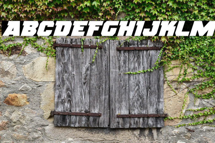 Rogue Hero Expanded Italic Example 3