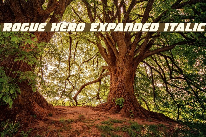 Rogue Hero Expanded Italic Fuentes examples