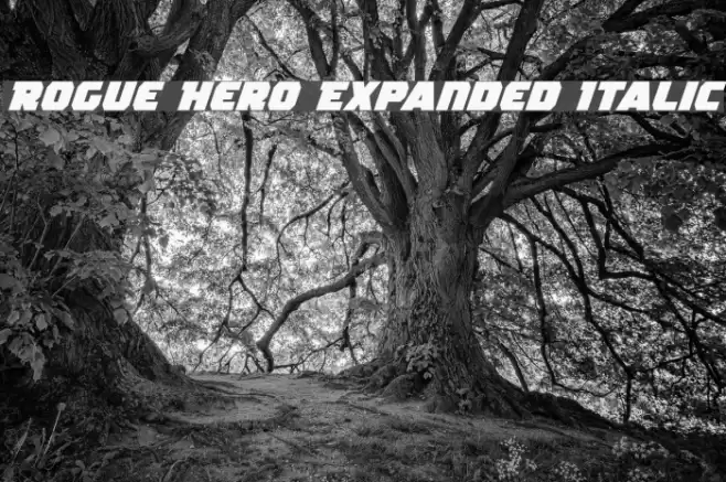 Rogue Hero Expanded Italic Fuentes examples