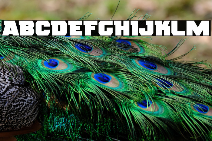 Rogue Hero Expanded Example 2