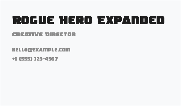 Rogue Hero Expanded Business Card