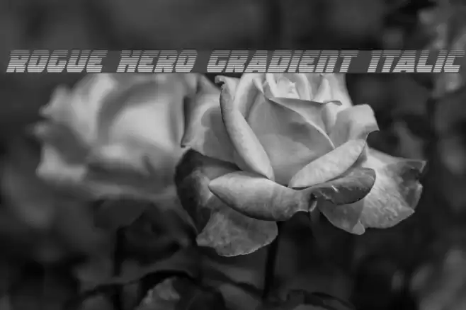 Rogue Hero Gradient Italic Font examples