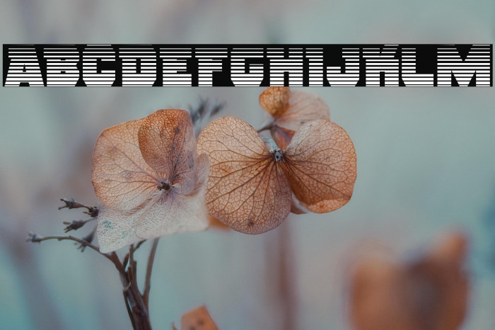 Rogue Hero Gradient Example 3