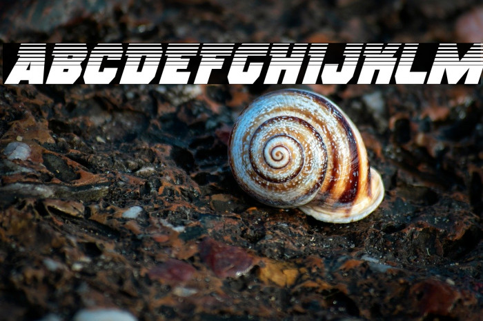 Rogue Hero Halftone Italic Example 2