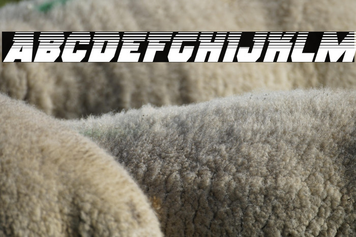 Rogue Hero Halftone Italic Example 3