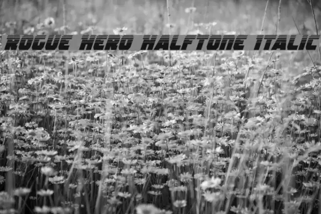 Rogue Hero Halftone Italic Font examples