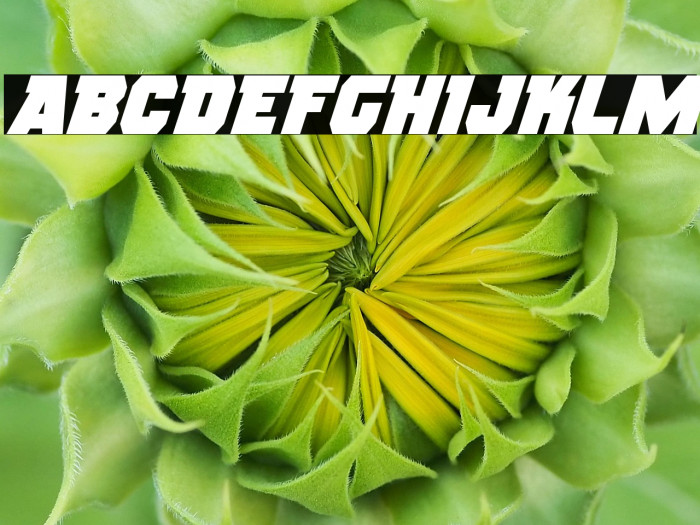 Rogue Hero Italic Example 1