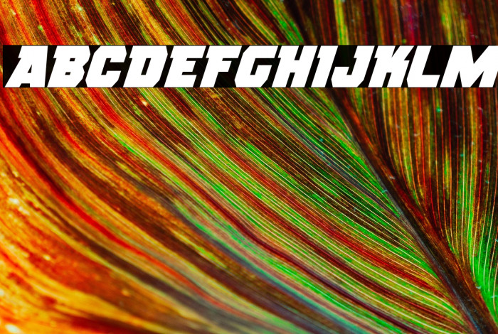 Rogue Hero Italic Example 3