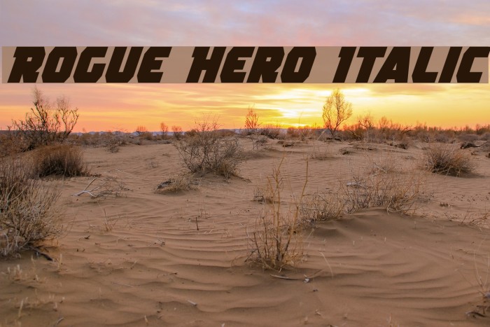 Rogue Hero Italic Font examples