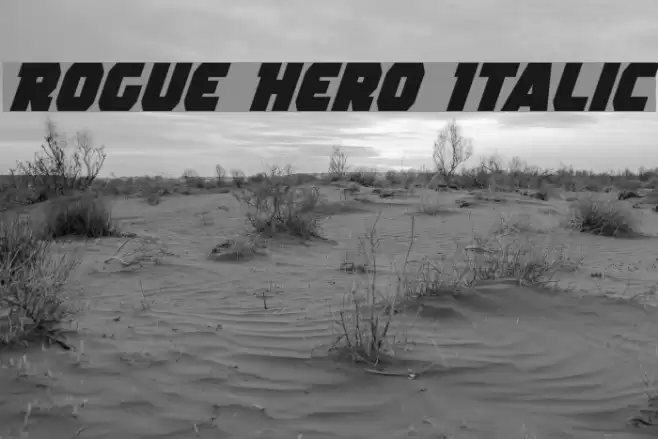 Rogue Hero Italic フォント examples