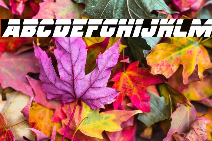 Rogue Hero Laser Italic Example 3