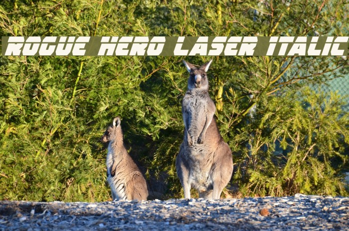 Rogue Hero Laser Italic フォント examples