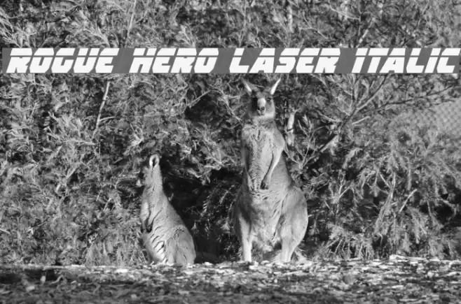 Rogue Hero Laser Italic フォント examples