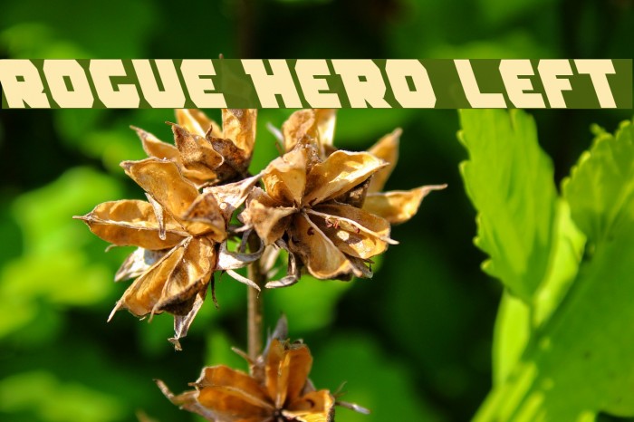Rogue Hero Left Font examples
