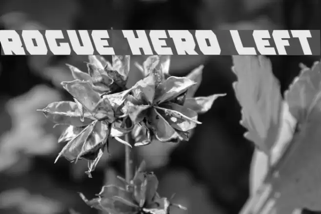 Rogue Hero Left フォント examples