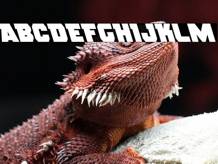 Rogue Hero Leftalic Example 3