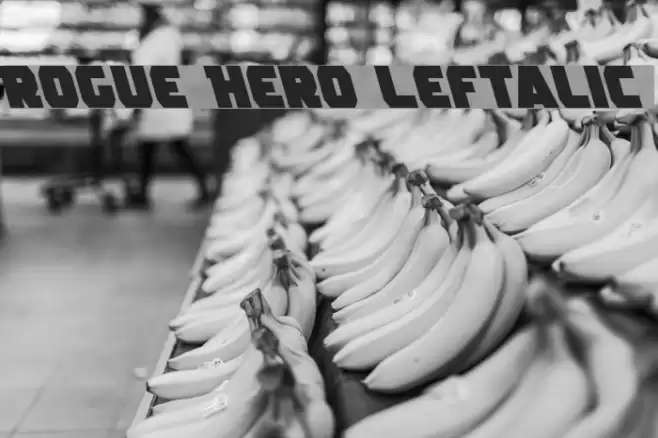 Rogue Hero Leftalic Font examples