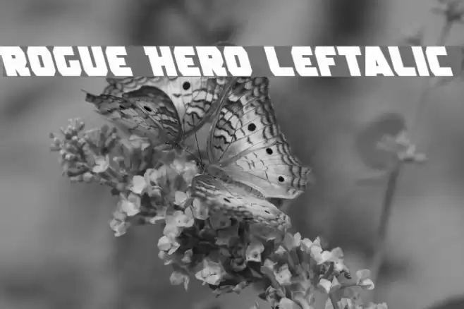Rogue Hero Leftalic Font examples
