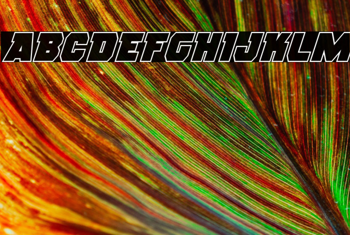 Rogue Hero Outline Italic Example 1