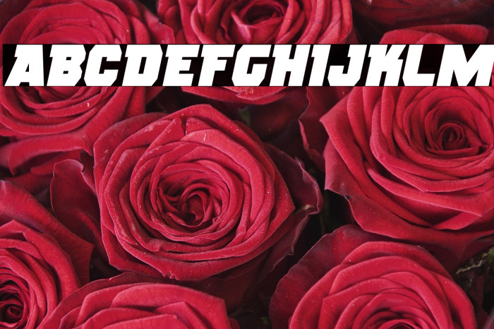 Rogue Hero Semi-Italic Example 2