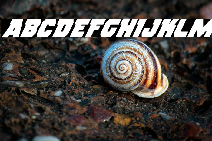 Rogue Hero Super-Italic Example 2