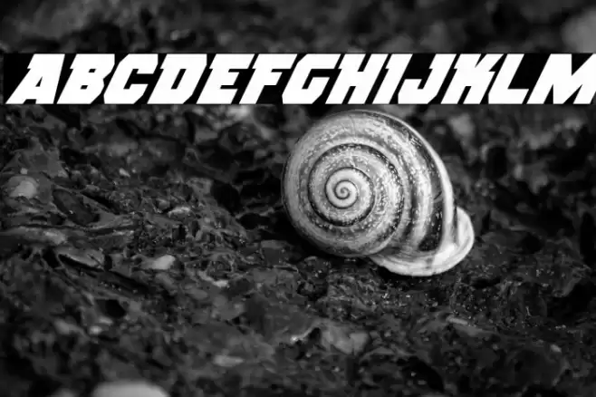 Rogue Hero Super-Italic Font examples