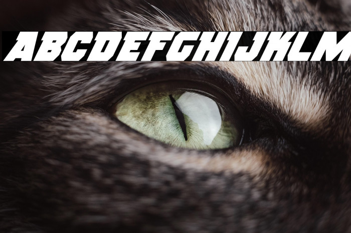 Rogue Hero Super-Italic Example 3